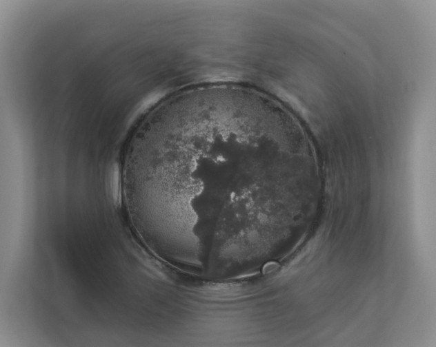 X0000113281171200909280946