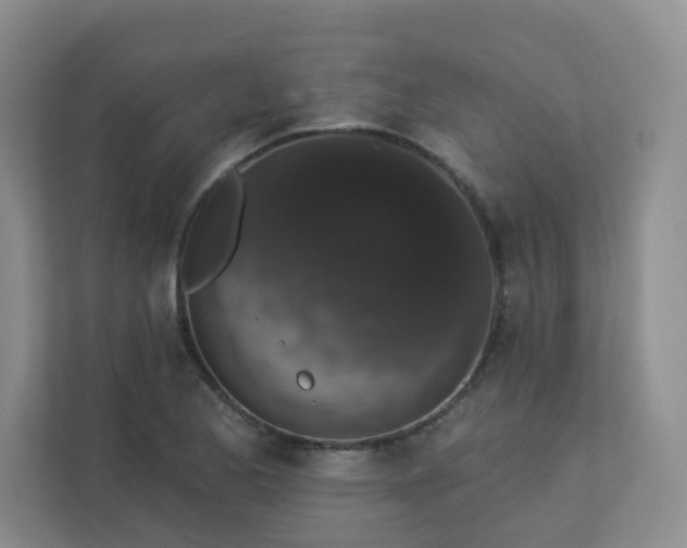 X0000113281173200909280946