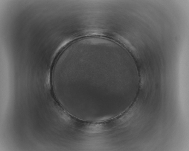 X0000113281174200909280946