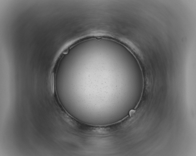 X0000113281175200909280946