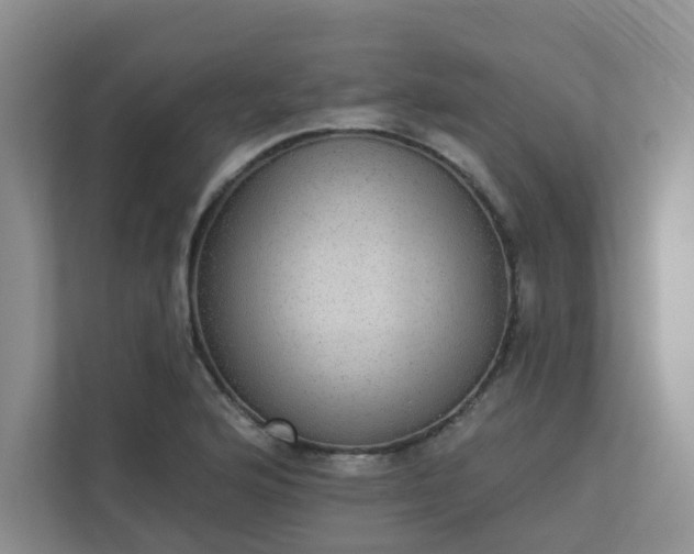 X0000113281176200909280946