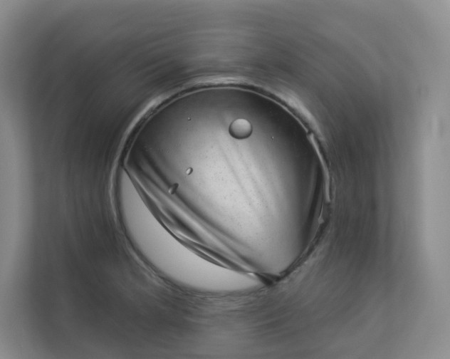 X0000113281181200909280946