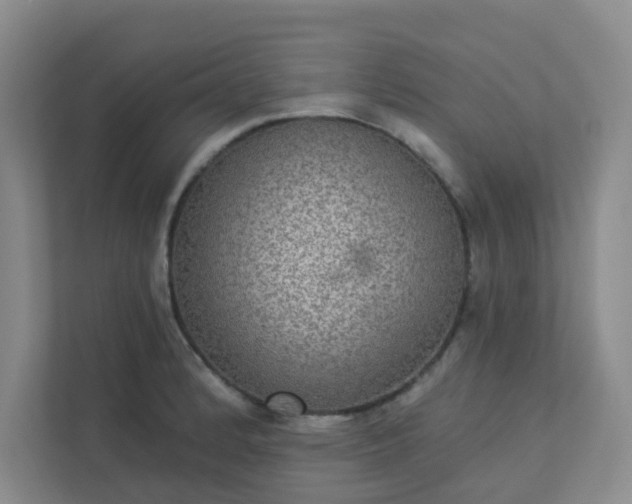 X0000113281184200909280946