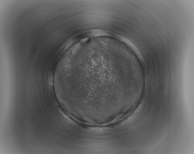 X0000113281185200909280946