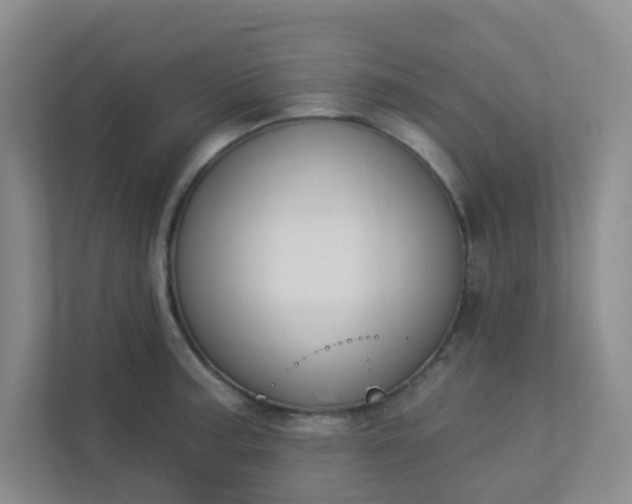 X0000113281187200909280946