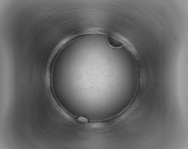 X0000113281188200909280946