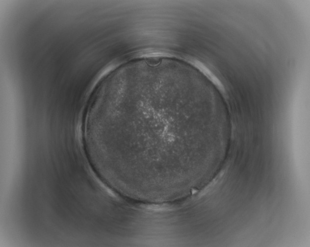 X0000113281189200909280946