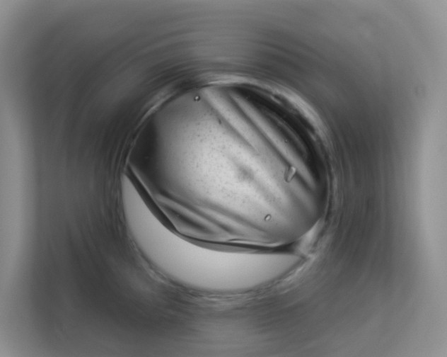 X0000113281193200909280946