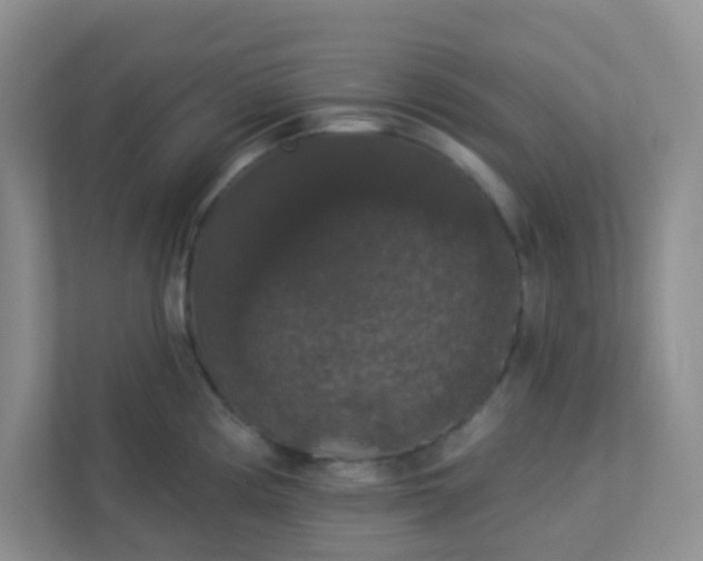 X0000113281194200909280946