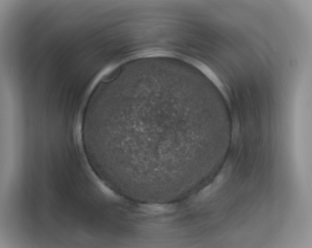 X0000113281197200909280945