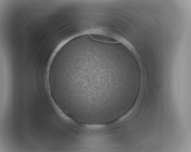 X0000113281200200909280945