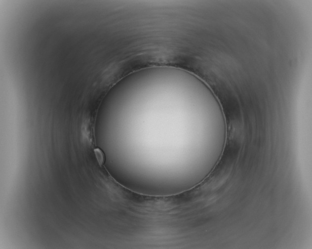 X0000113281202200909280945