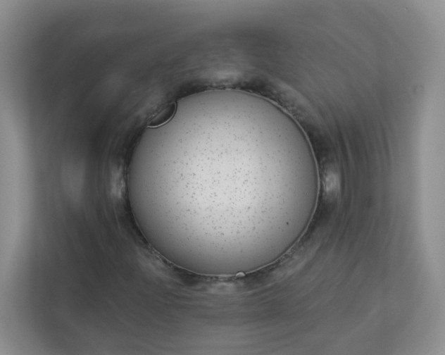 X0000113281204200909280945