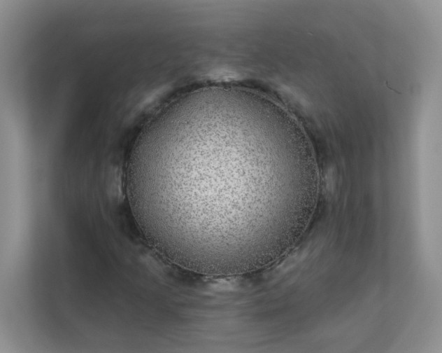 X0000113281205200909280945