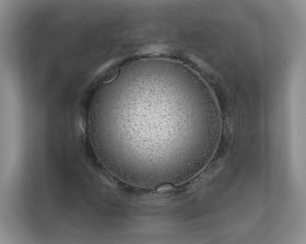 X0000113281206200909280945