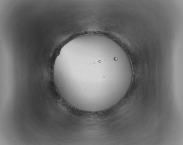 X0000113281207200909280945