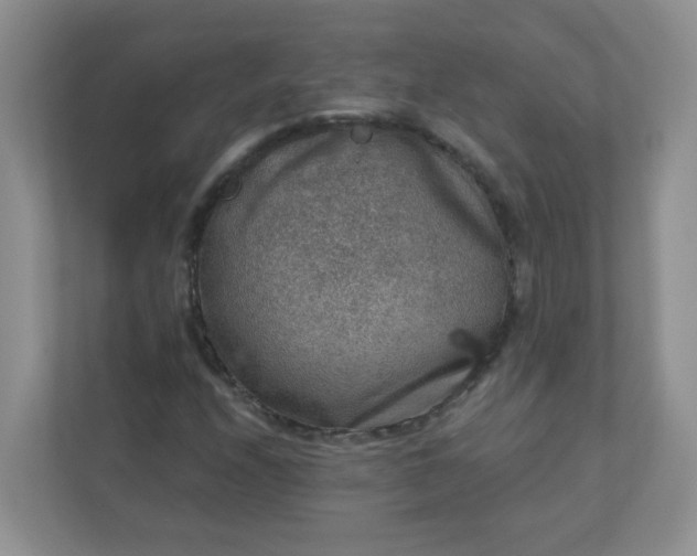 X0000113281208200909280945