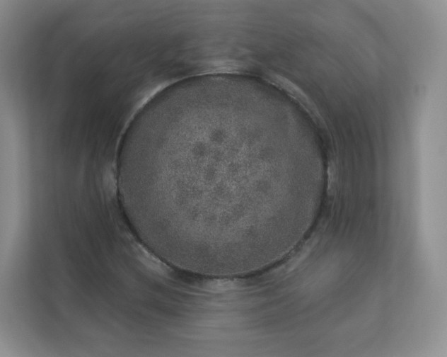 X0000113281212200909280945