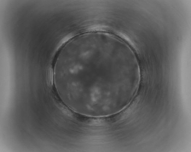 X0000113281219200909280945