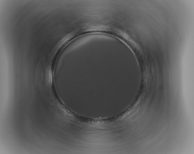 X0000113281221200909280945