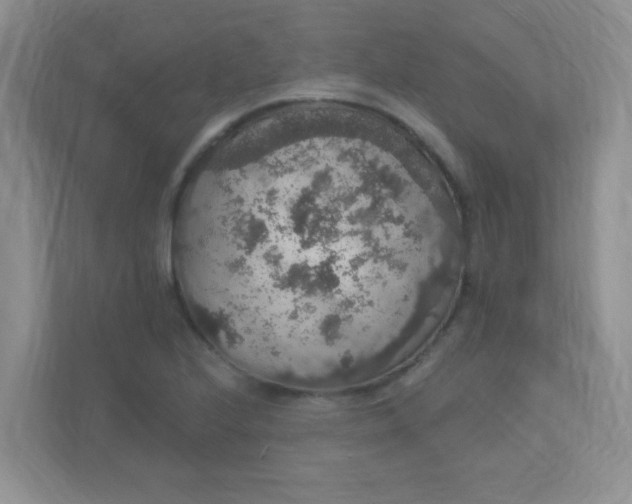 X0000113281224200909280945