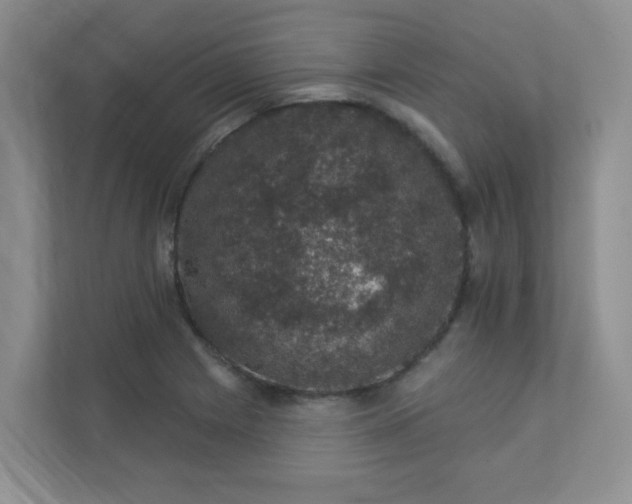 X0000113281225200909280945