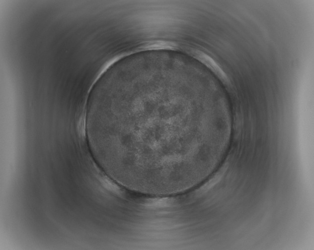 X0000113281228200909280945