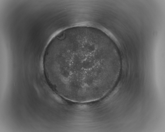 X0000113281230200909280945