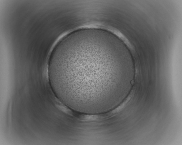 X0000113281232200909280945