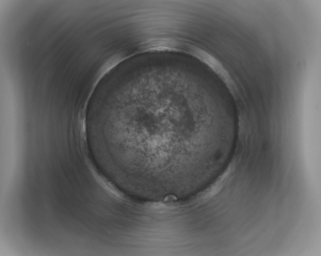 X0000113281234200909280945