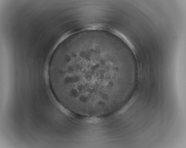 X0000113281235200909280945