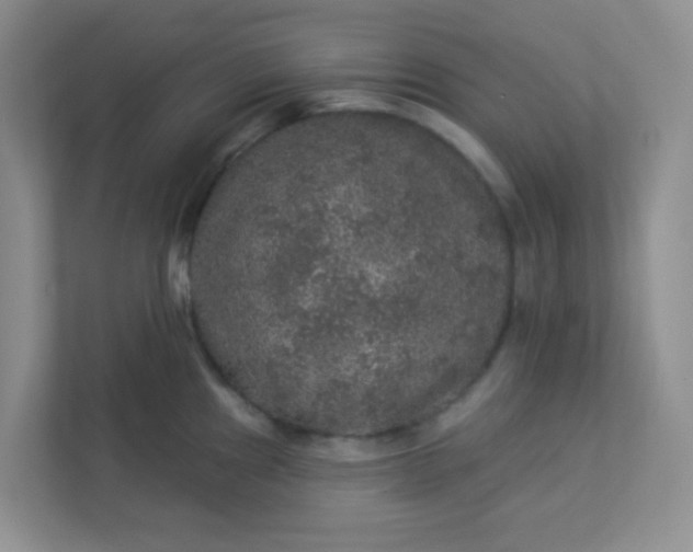 X0000113281241200909280945