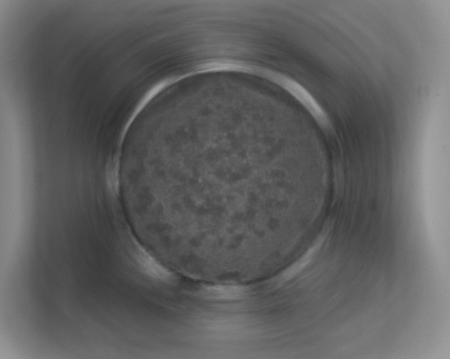 X0000113281244200909280945