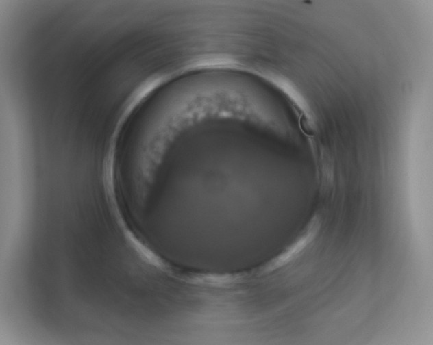 X0000113281245200909280945