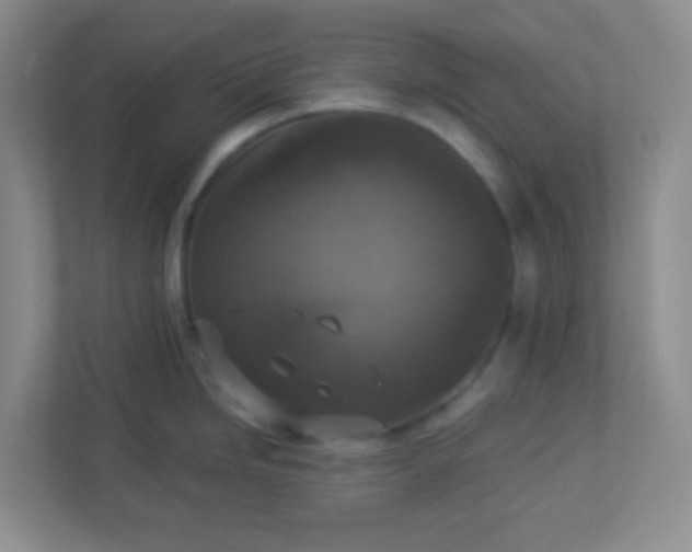 X0000113281246200909280945