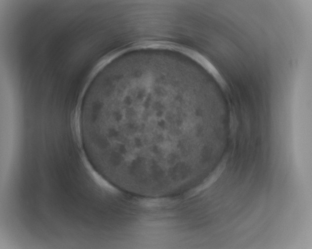 X0000113281247200909280945