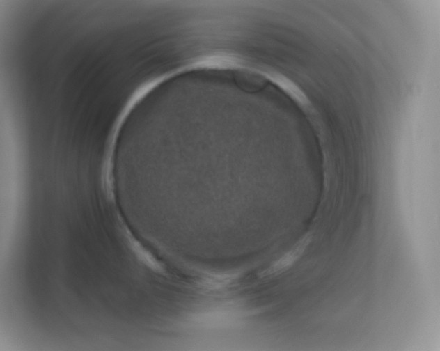 X0000113281248200909280945