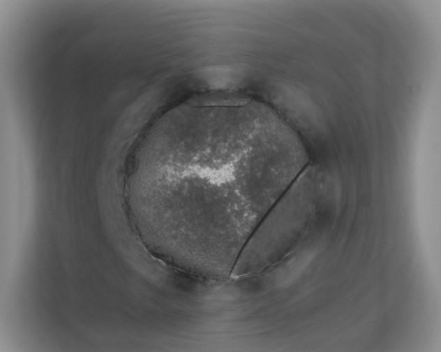 X0000113281249200909280945