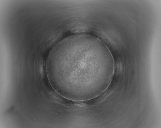 X0000113281250200909280945