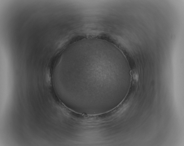 X0000113281252200909280945