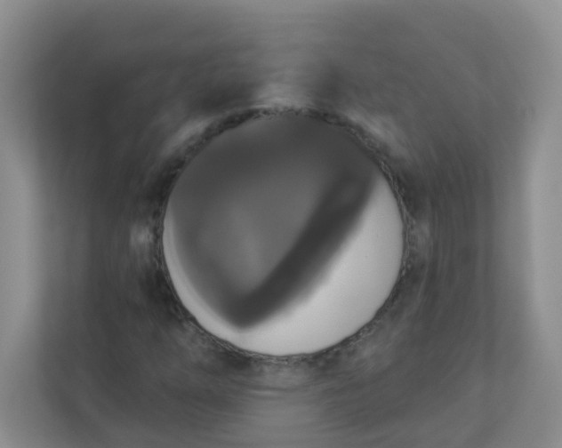 X0000113281254200909280945