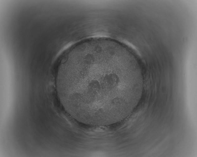 X0000113281255200909280945