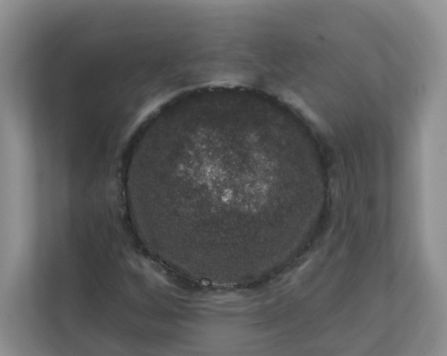 X0000113281256200909280945