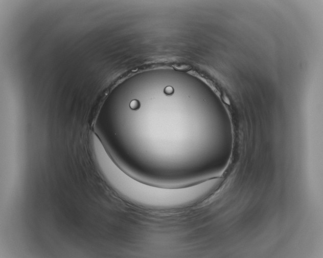 X0000113281257200909280945