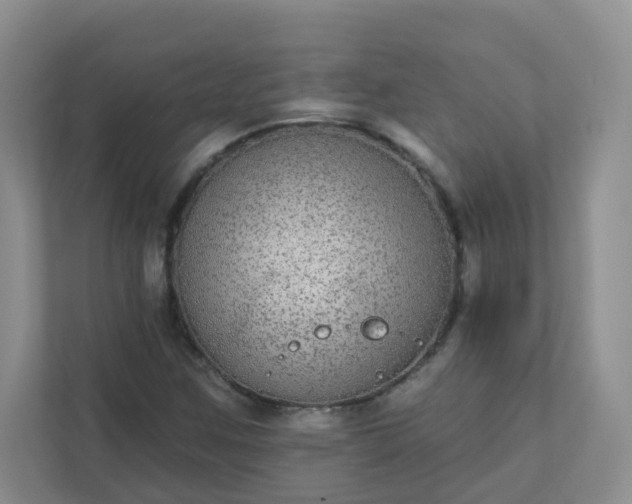 X0000113281259200909280945