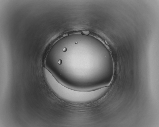 X0000113281261200909280945