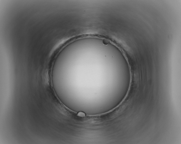 X0000113281262200909280945