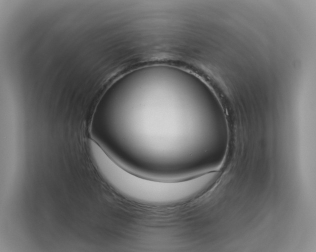 X0000113281265200909280945