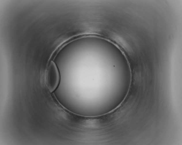 X0000113281268200909280945