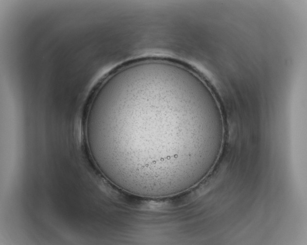 X0000113281271200909280945